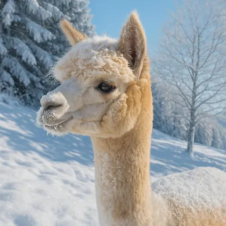 Haus Gipfelblick Apartamento Rauris