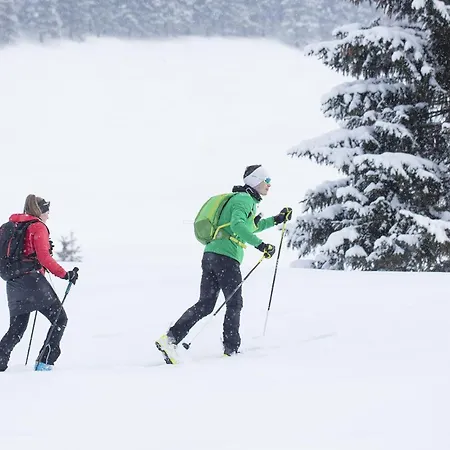 Haus Gipfelblick Appartement Rauris