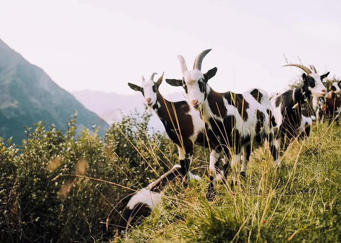 Haus Gipfelblick Daire