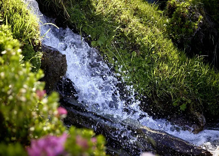 Daire Haus Gipfelblick *